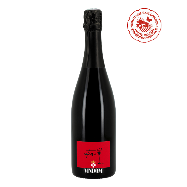 Lingot Martin Intense Cuvée Gamay Bugey