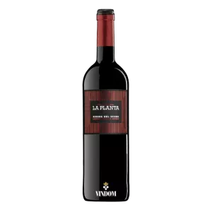 Bodegas Arzuaga Navarro, La Planta, Ribera del Duero