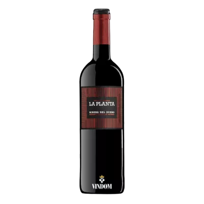 Bodegas Arzuaga Navarro, La Planta, Ribera del Duero