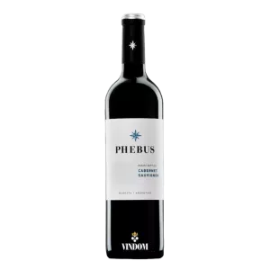 Fabre Montmayou - Phebus Wines, Syrah