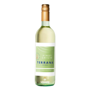 Trent, Terrana, Pinot Grigio, Vigneti delle Dolomiti, 2023 Vindom Wine Boutique Oldenzaal www.www.vindom.shop